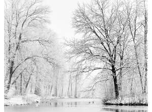 Мгновения пейзажа Максима Бедова