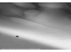 Объявлен победитель Национального конкурса Russia National Award 2021