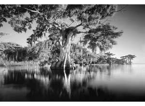 Розыгрыш билетов на выставку «Клайд Батчер. Эффект присутствия»