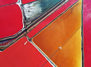 Объявлен состав жюри конкурса  2020 Sony World Photography Awards