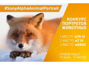 Животный мир в объективе: компания Sony запустила конкурс #SonyAlphaAnimalPortrait