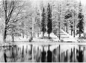 Русский пейзаж на фоне великой американской фотографической традиции