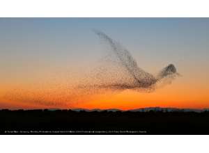 Список финалистов Sony World Photography Awards 2018: выдающееся качество, разнообразие и рекордное число заявок