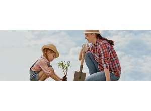 Шезлонг против тяпки. 4 типа дачников по версии OZON.ru