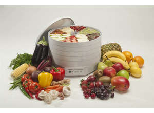 Обзор электросушилок для продуктов: кладовые солнца