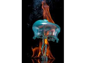 В ЦДХ пройдет Третий фестиваль современной фотографии «ФИКСАЖ».