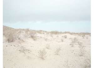 «Постепенное море» Наталии Балута