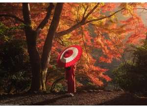 Путешествие в Японию: в парке «МУЗЕОН» пройдёт бесплатная фотовыставка Даниила Коржонова