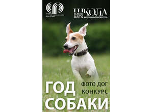 Фотоконкурс: Дай лапу, друг! 