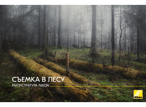 МАГИСТРАТУРА NIKON. Съемка в лесу