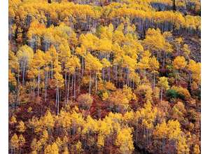 Галерея Классической Фотографии приглашает на лекцию о творчестве Кристофера Беркетта