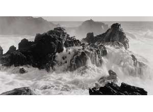 Экскурсия по выставке «Боб Колбренер. Почему природа?»