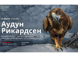 Впервые в России — мастер природной фотографии Аудун Рикардсен