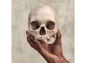 Стали известны победители конкурса Sony World Photography Awards 2019 года