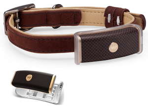 Pawbo представляет новые трекеры для домашних питомцев и «умный» диспенсер корма