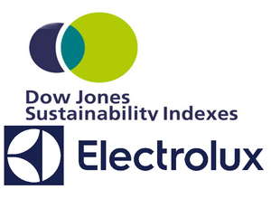 Electrolux 10 год подряд получает высший индекс устойчивости в отрасли бытовой техники