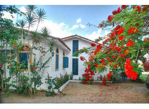 Дом бразильской мечты