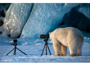 Амбасадор Nikon Roie Galitz сделал забавный снимок медведя, решившего стать фотогрофом