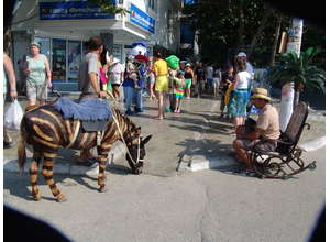 Открытие фотовыставки «В фокусе — улыбка!»