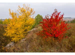 «Мой ближний круг». Фотоконкурс Canon