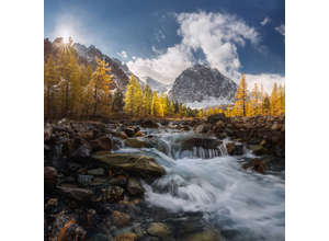 «В объективе Nikon»: Алтай вместе Даниилом Коржоновым