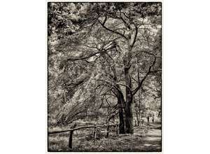 В Галерее Классической Фотографии открывается выставка Анны Останиной