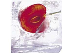 Морозильные камеры: сила сильная – морозильная!