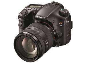 Тест зеркального фотоаппарата SONY SLT-A77: дикого лиса я отснял в течение месяца...