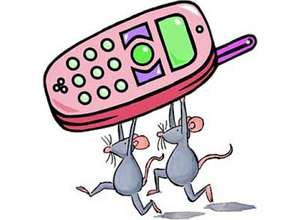 iPhone 5 и Samsung Galaxy S4 mini – самые похищаемые смартфоны, пик краж гаджетов приходится на июнь 