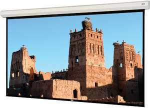 Экраны Da-Lite большой диагонали совсем рядом: Large Cosmopolitan Electrol и Professional Electrol