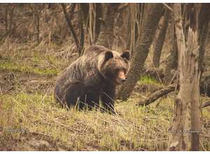 Заповедные территории и путешествия по России. Третьи выходные на фестивале «Первозданная Россия»