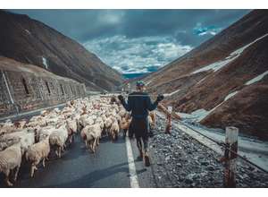 Я и мое стадо. Документальный фотопроект Евгении Шабаевой о жизни грузинских чабанов