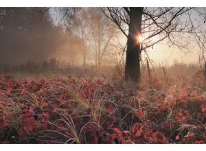 Поэзия и проза пейзажной фотографии: часть 4