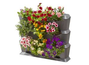 Подарки на 8 марта: сад вместо букета