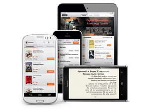 Эксперты Роскачества выявили подозрительные электронные «читалки»