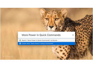 Браузер Vivaldi представляет версию 2.1 с улучшенными Быстрыми командами.