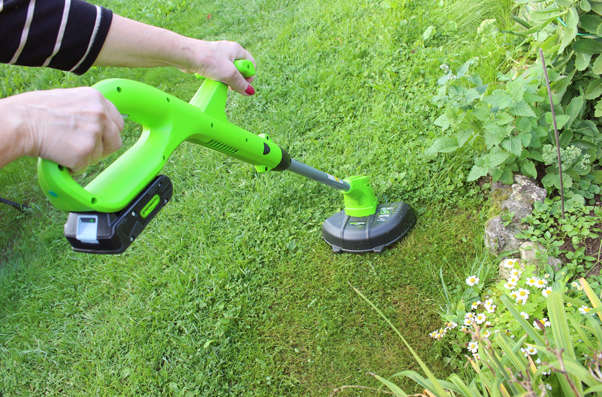 Greenworks G24LT30K2.