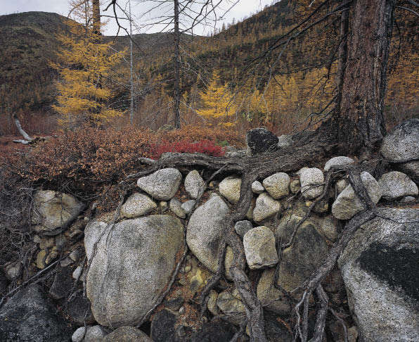 Удержать и удержаться (победитель). Андрей Ермаков 