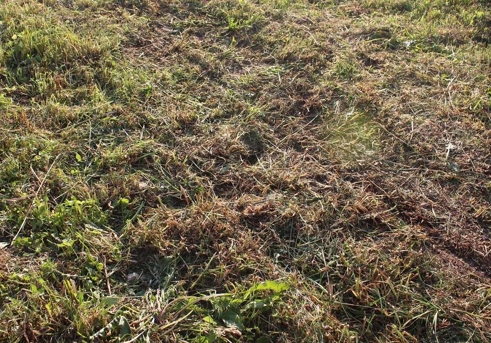 Тележка Greenworks G40GC.