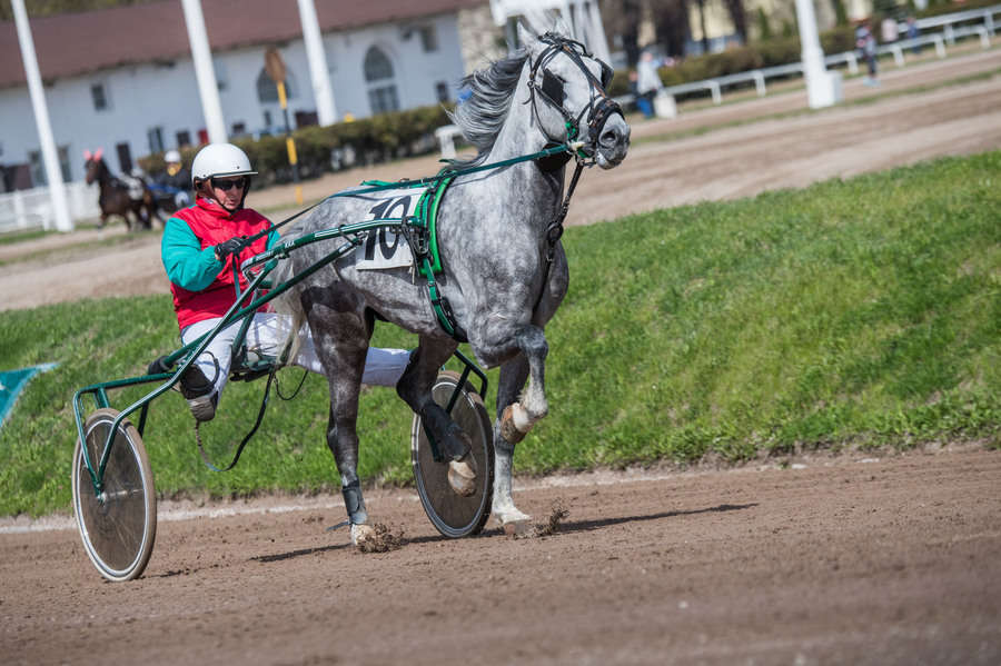 Объектив AF-s Nikkor 80-400 f/4.5-5.6 VR, 1/2500 c, f/7,1 ISO 500