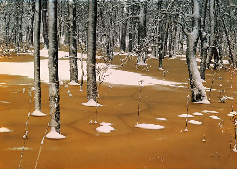 Мещера. Апрель. Пойменный лес