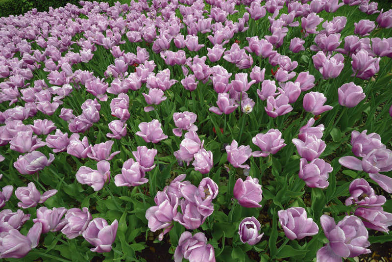 Тест зеркальной фотокамеры Nikon D8000e - пейзаж в Москве