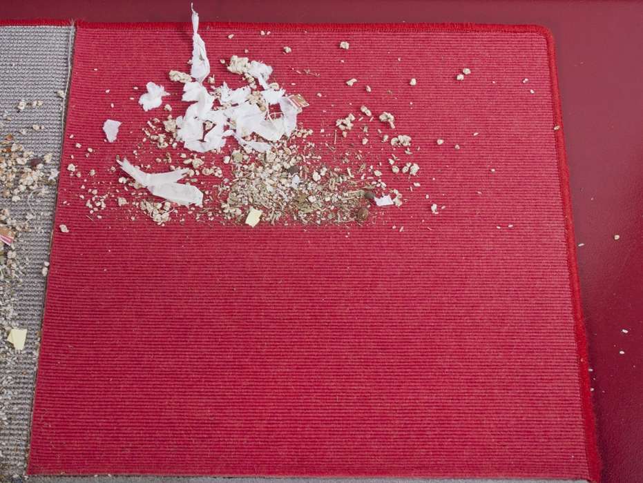 Результаты уборки премиум-пылесоса Miele  