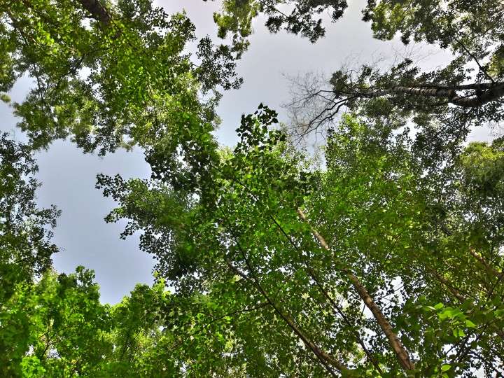 Пример фото