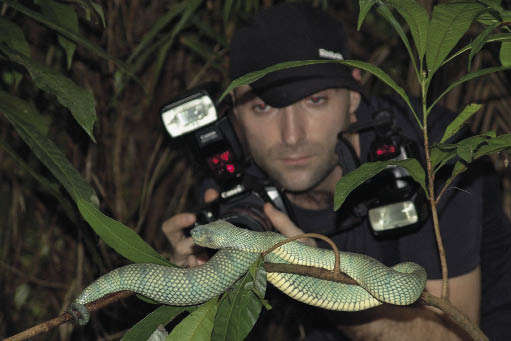 Съемка змеи