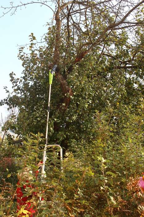 Greenworks G40PSF яблоня