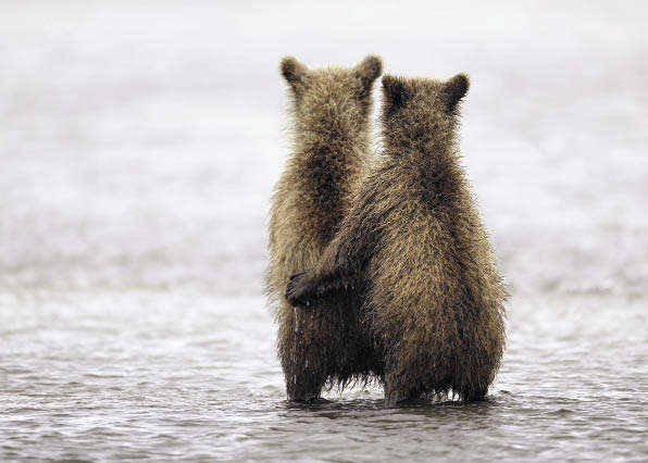 Вера, надежда, любовь (специальная отметка жюри). Николай Зиновьев  