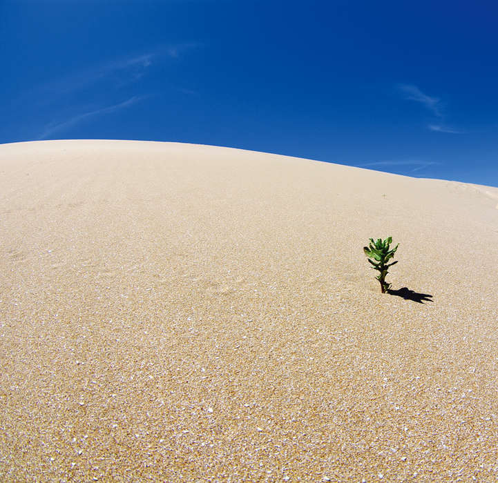 Одиночество