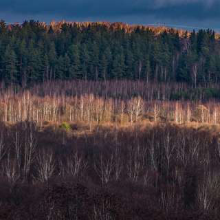 D5500_Praktika_Landscape_001_2