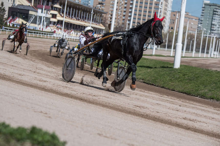 Объектив AF-s Nikkor 80-400 f/4.5-5.6 VR, 1/3200 c, f/6,3 ISO 500